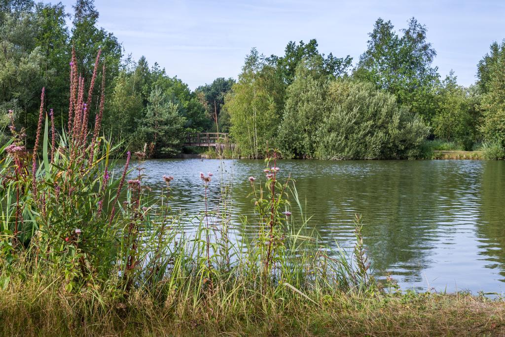 Oostappen Vakantiepark Zilverstrand Mol Zewnętrze zdjęcie